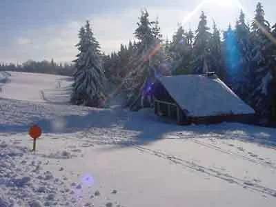 Résidence Du Chajoux La Bresse