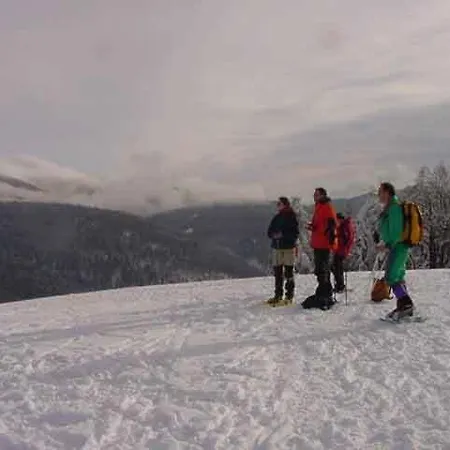 Апартаменты Du Chajoux *